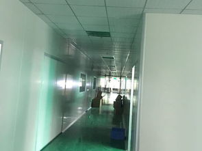 凈化工程案例展示 技術應用與實踐成效